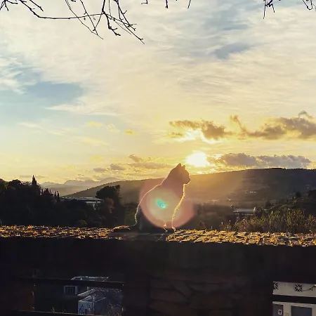 Hotel Ignacia - Naturaleza Entre Ronda Y Setenil 3*
