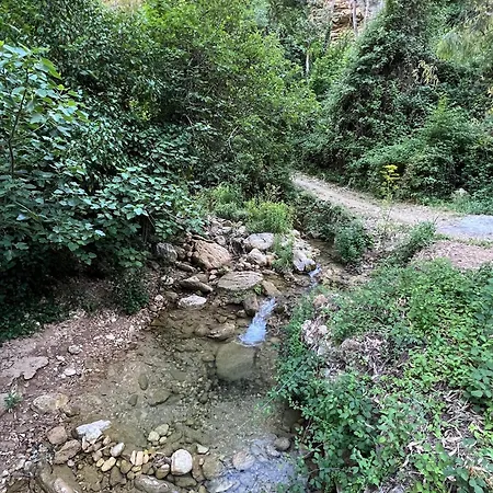 Hotel Ignacia - Naturaleza Entre Ronda Y Setenil 3*