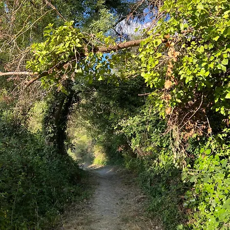 Ignacia - Naturaleza Entre Ronda Y Setenil Hotel 3*
