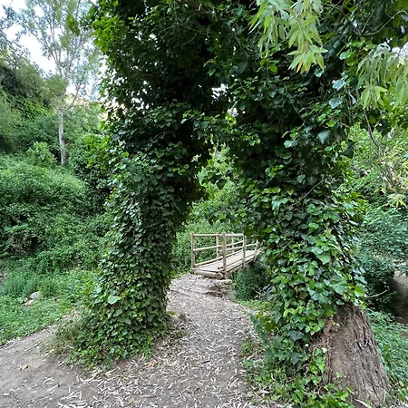 Ignacia - Naturaleza Entre Ronda Y Setenil