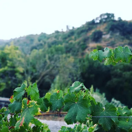 Hotel Ignacia - Naturaleza Entre Ronda Y Setenil Arriate