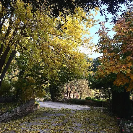 Hotel Ignacia - Naturaleza Entre Ronda Y Setenil 3*