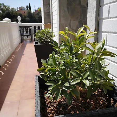 Villa Ignacia B&B - Naturaleza Entre Ronda & Setenil De Las Bodegas